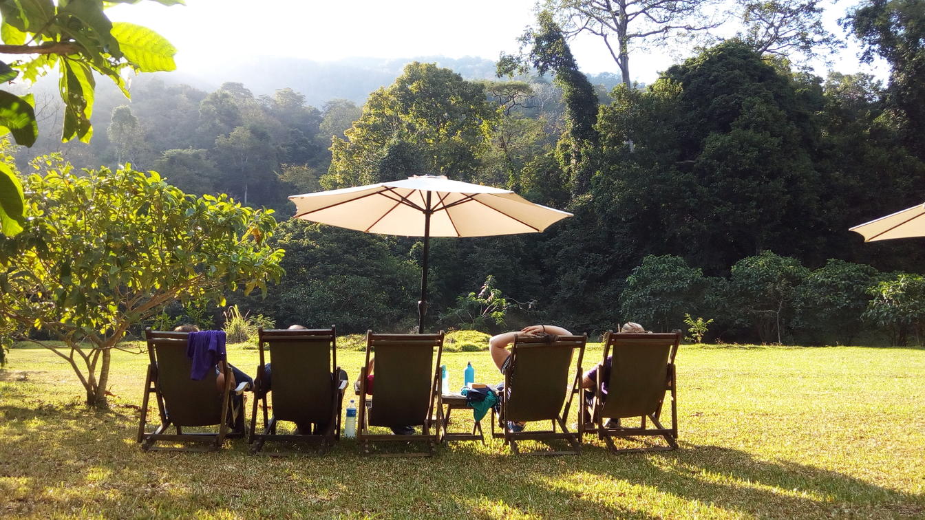 Udzungwa Forest Lodge – Hondo Hondo en Udzungwa Mountains National Park, Tanzania