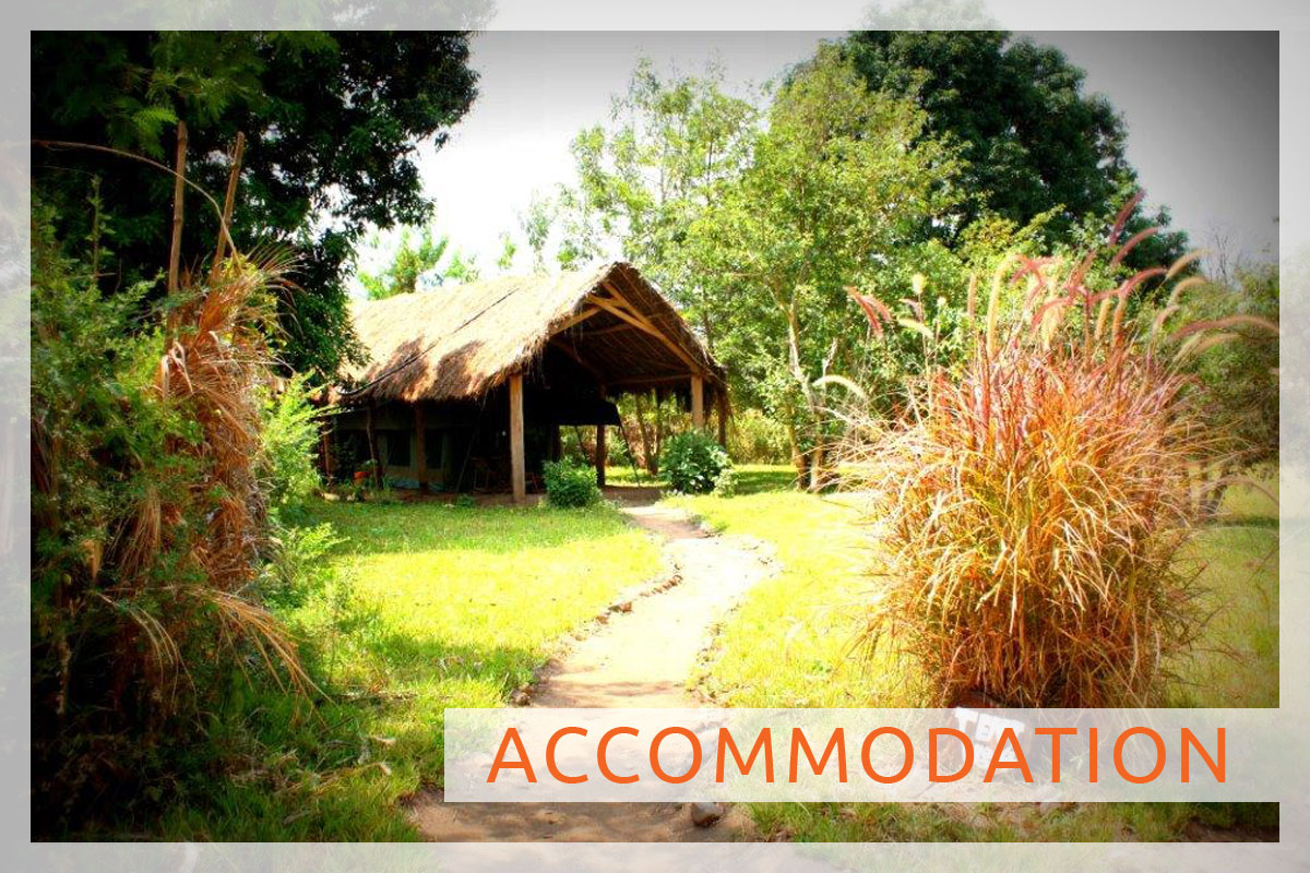 Udzungwa Forest Lodge – Hondo Hondo en Udzungwa Mountains National Park, Tanzania