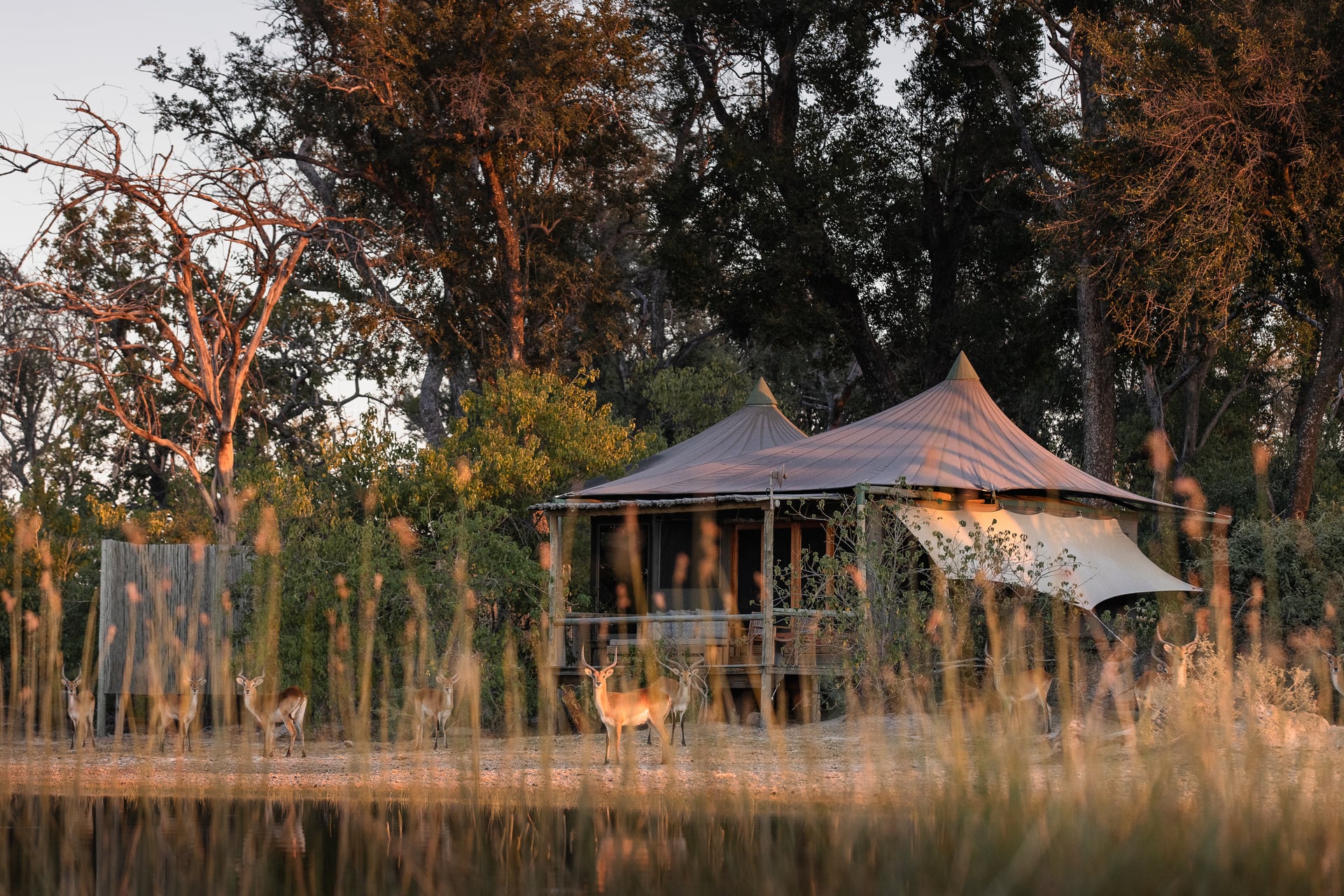 Wilderness Little Vumbura en su destino