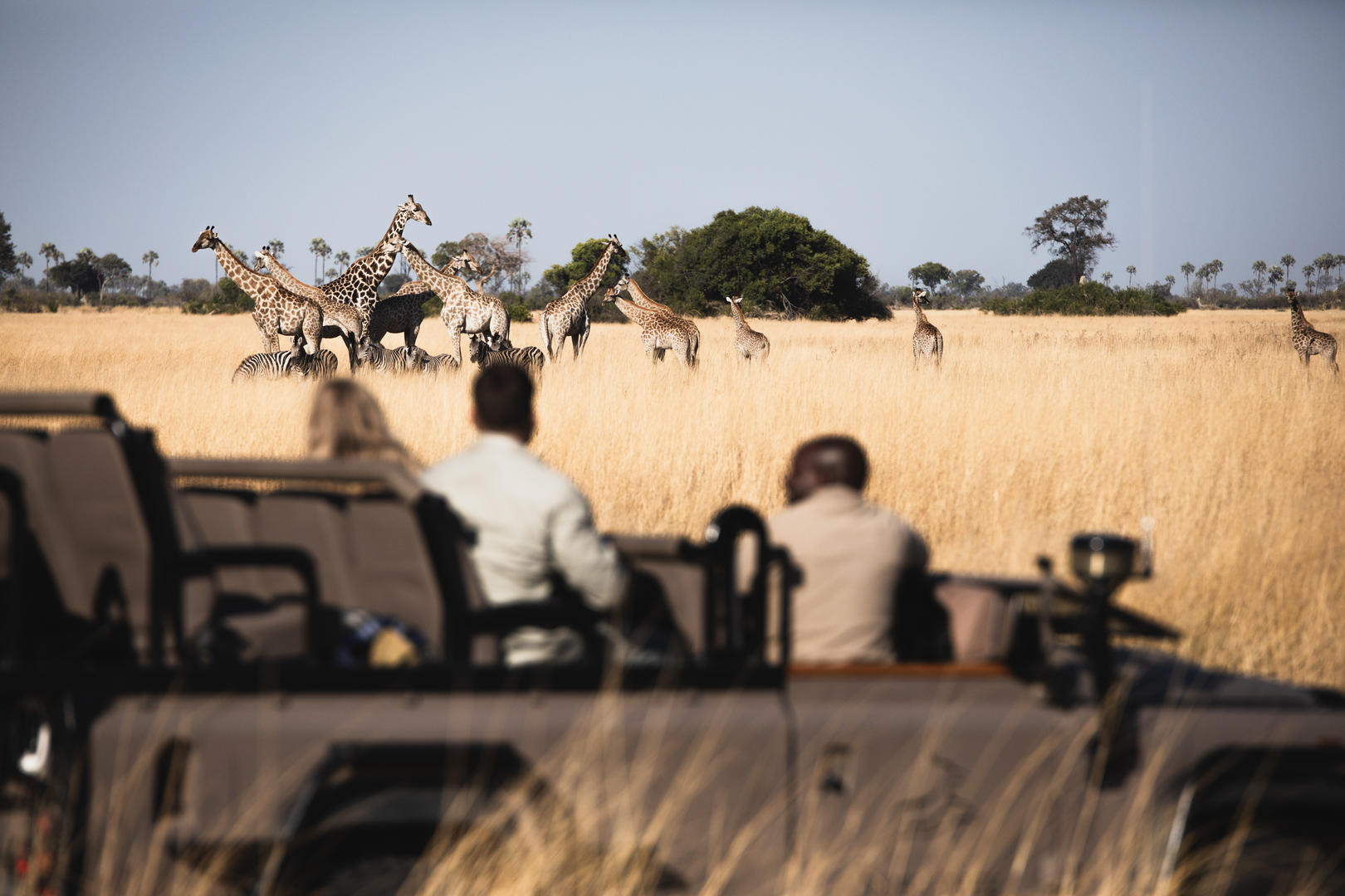 Tubu tree camp 20