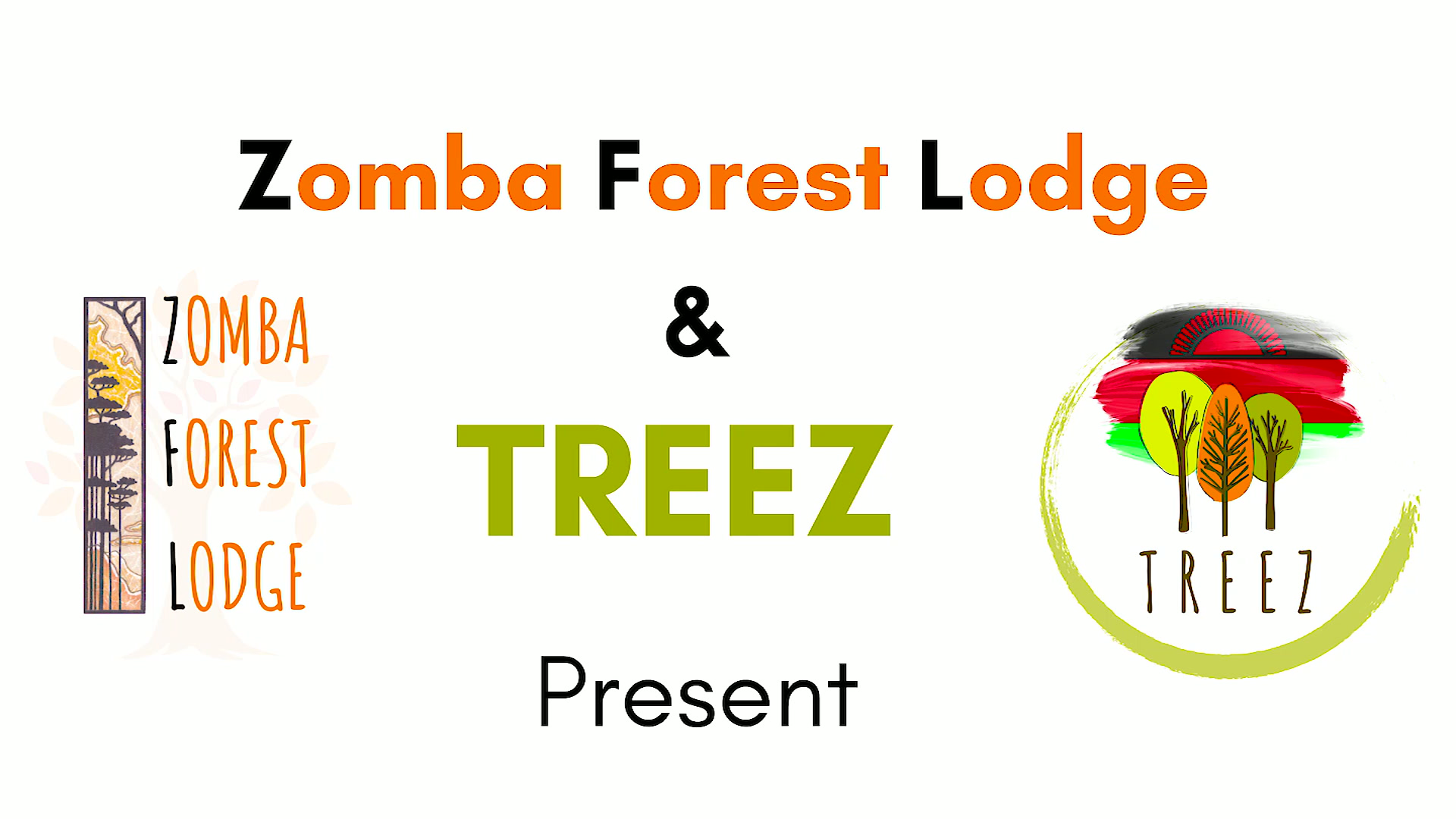 Zomba Forest Lodge en Meseta de Zomba