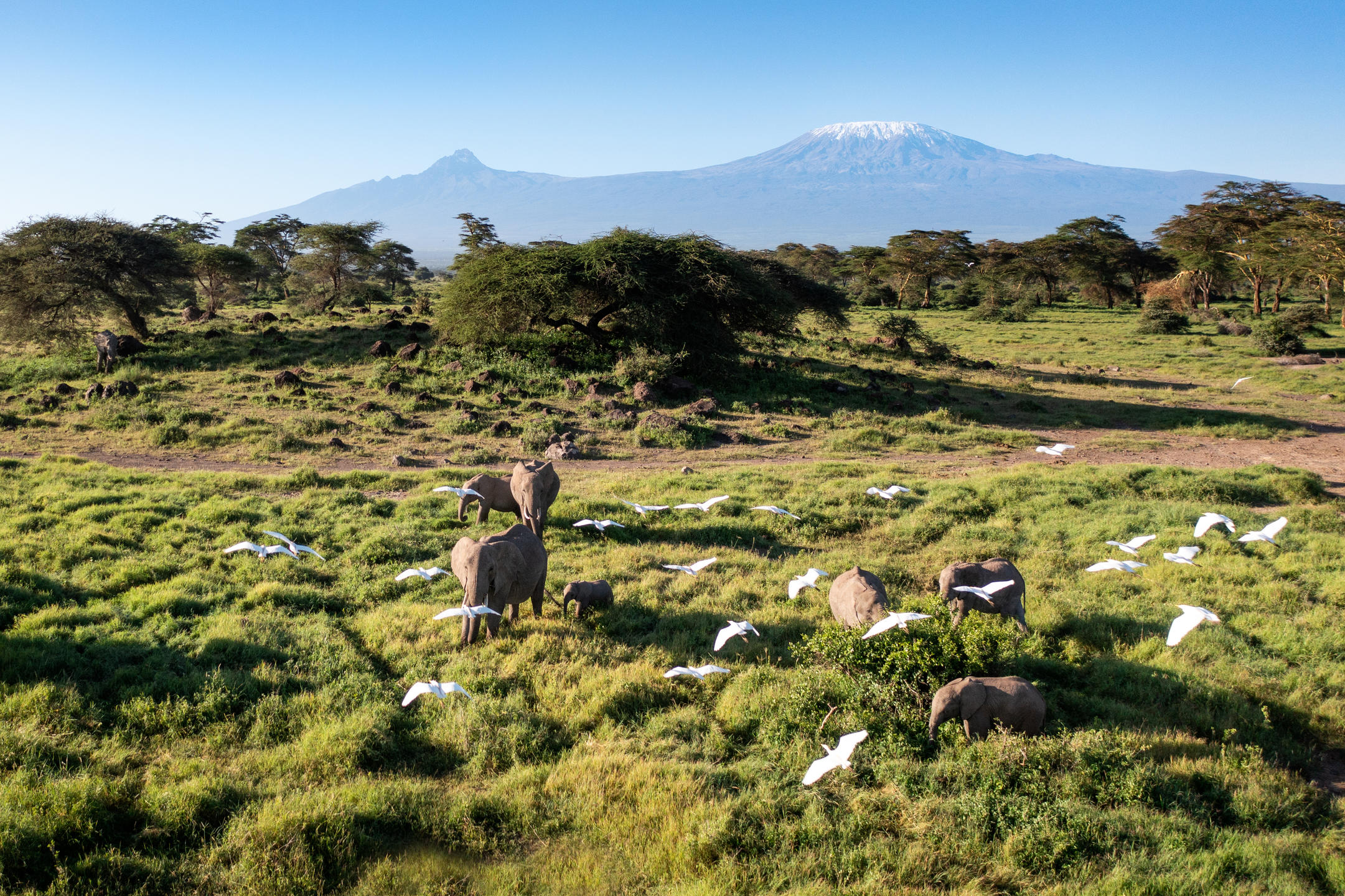 Angama Amboseli en Amboseli