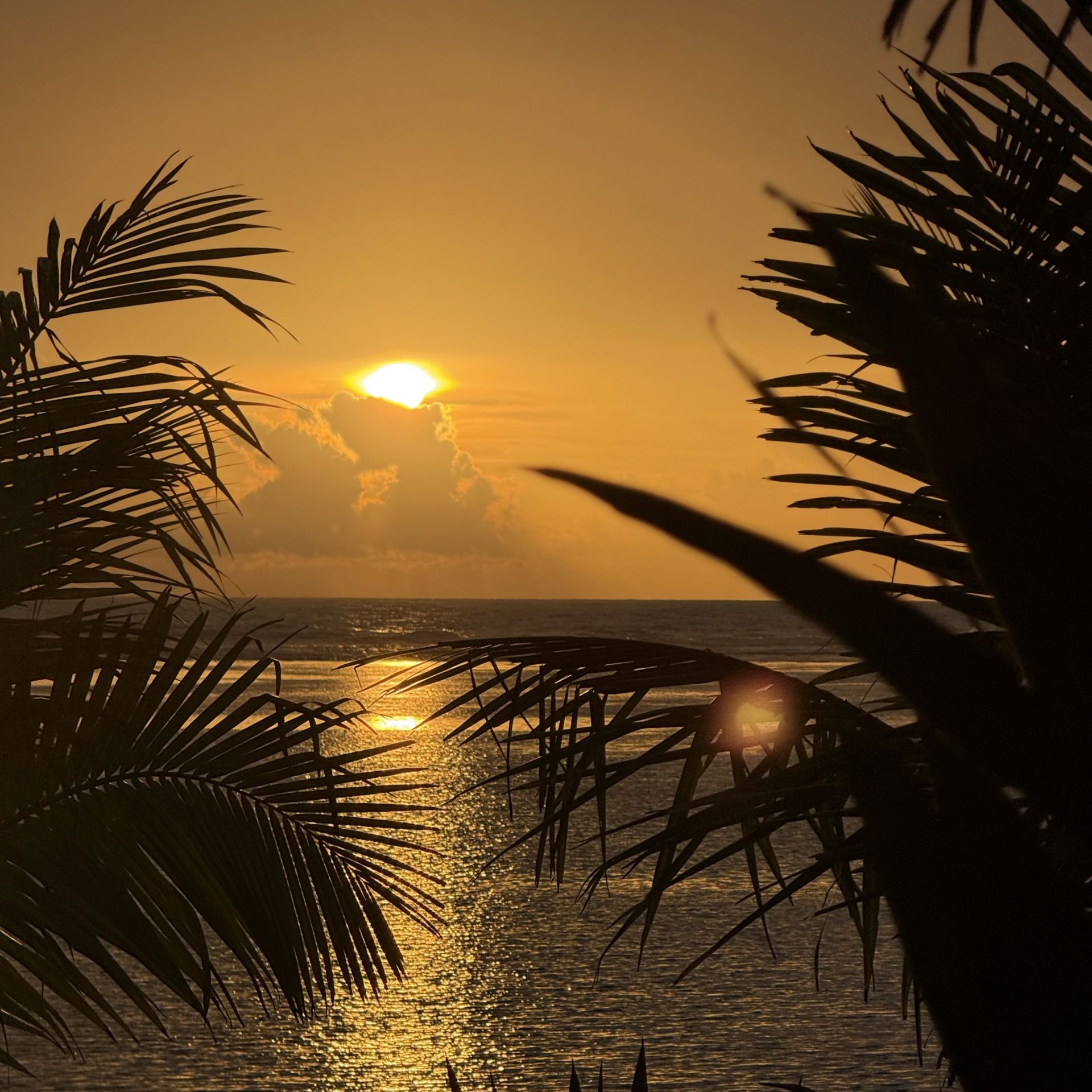 Cambaya%20sunset%