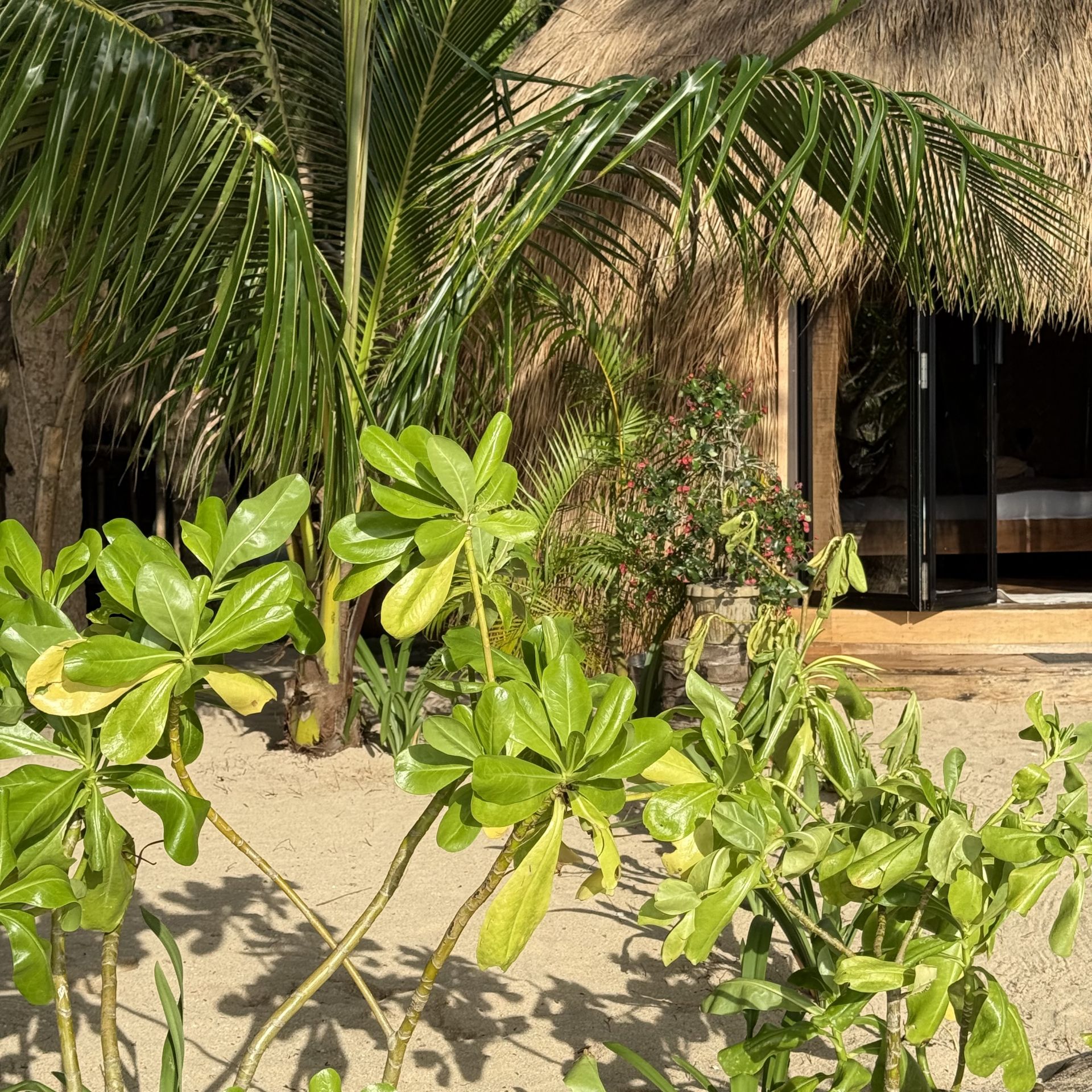 Cambaya Beach Resort en Busuanga