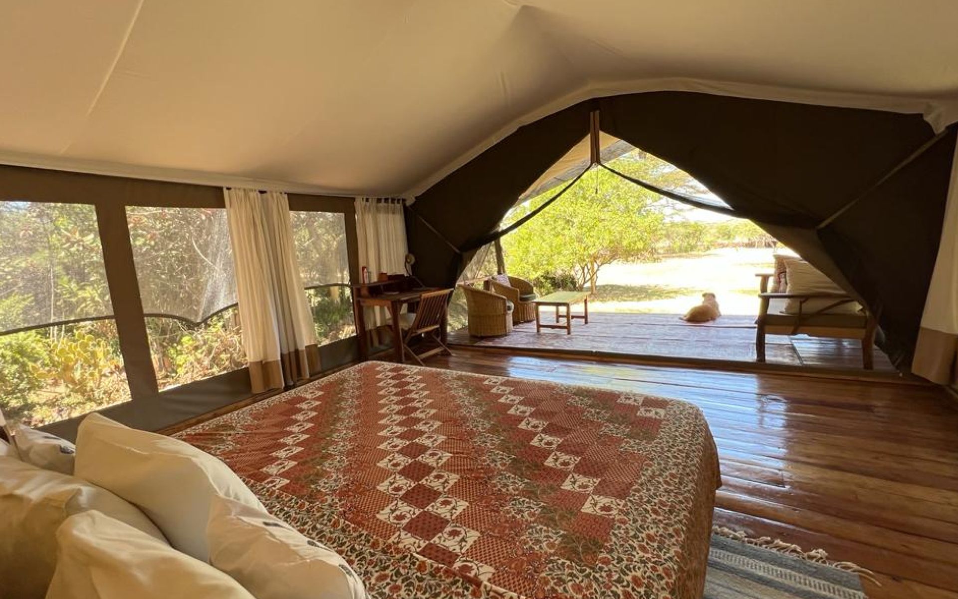 Ekorian's Mugie Camp en Laikipia 