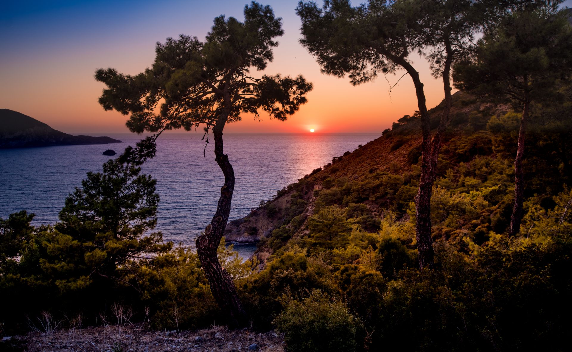 Gokce gemile forest ridge sunset bay view