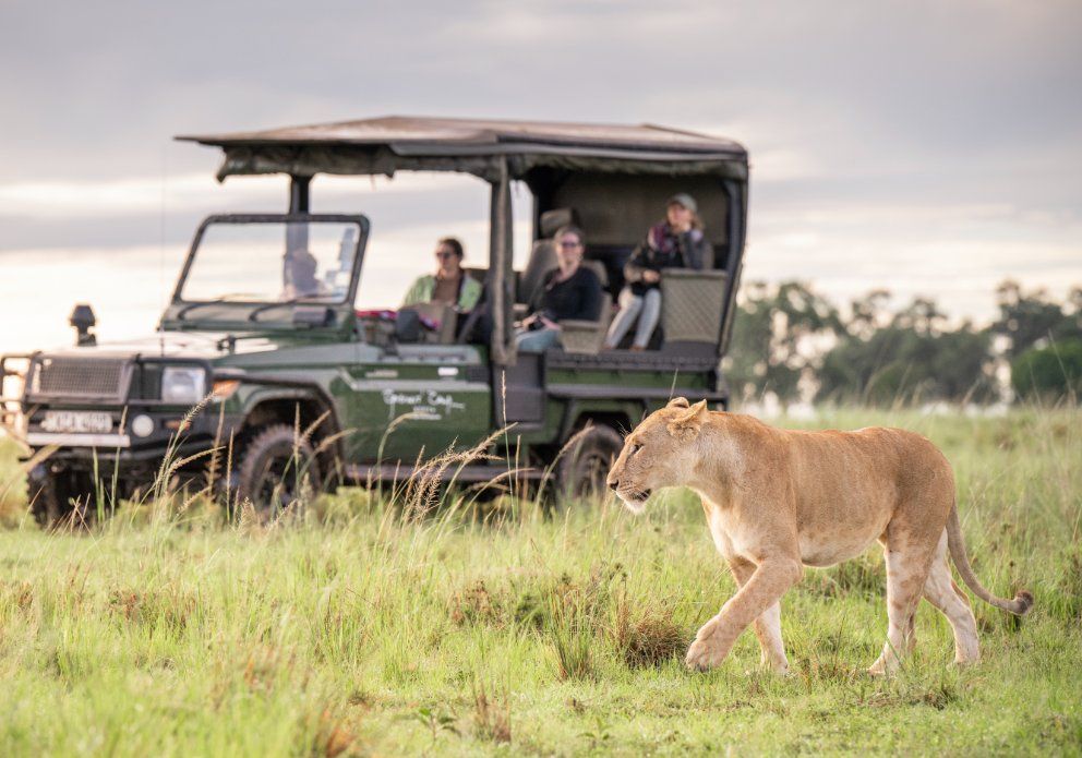 On safari 10