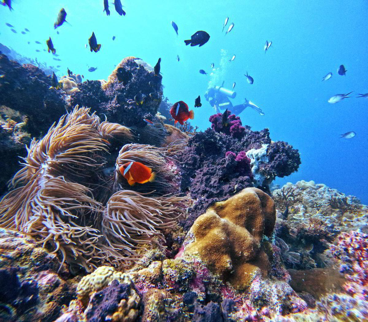 Matava – Fiji Untouched en Fiji