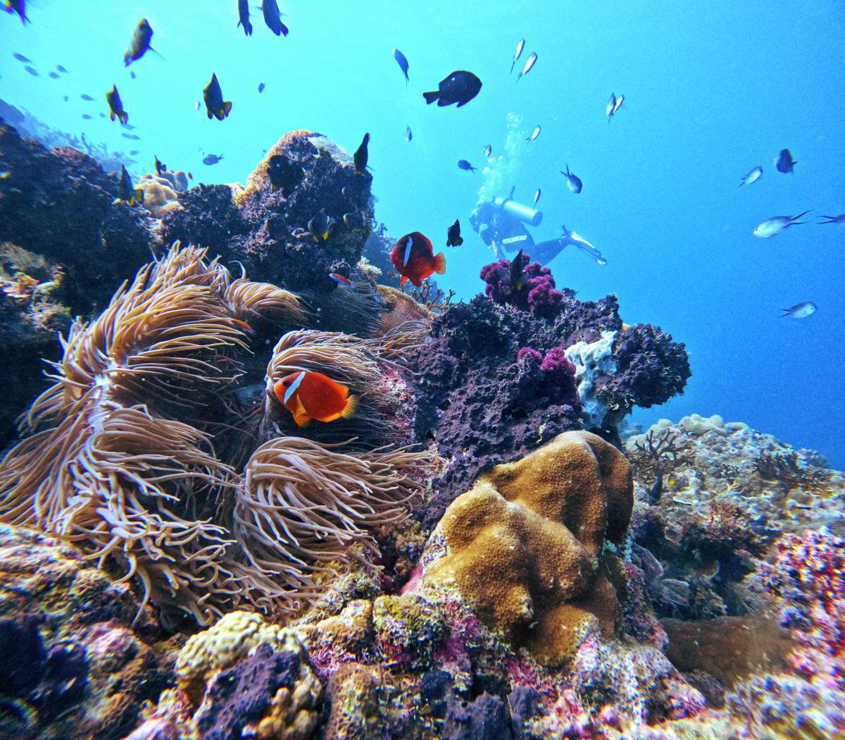 Matava – Fiji Untouched en Fiji