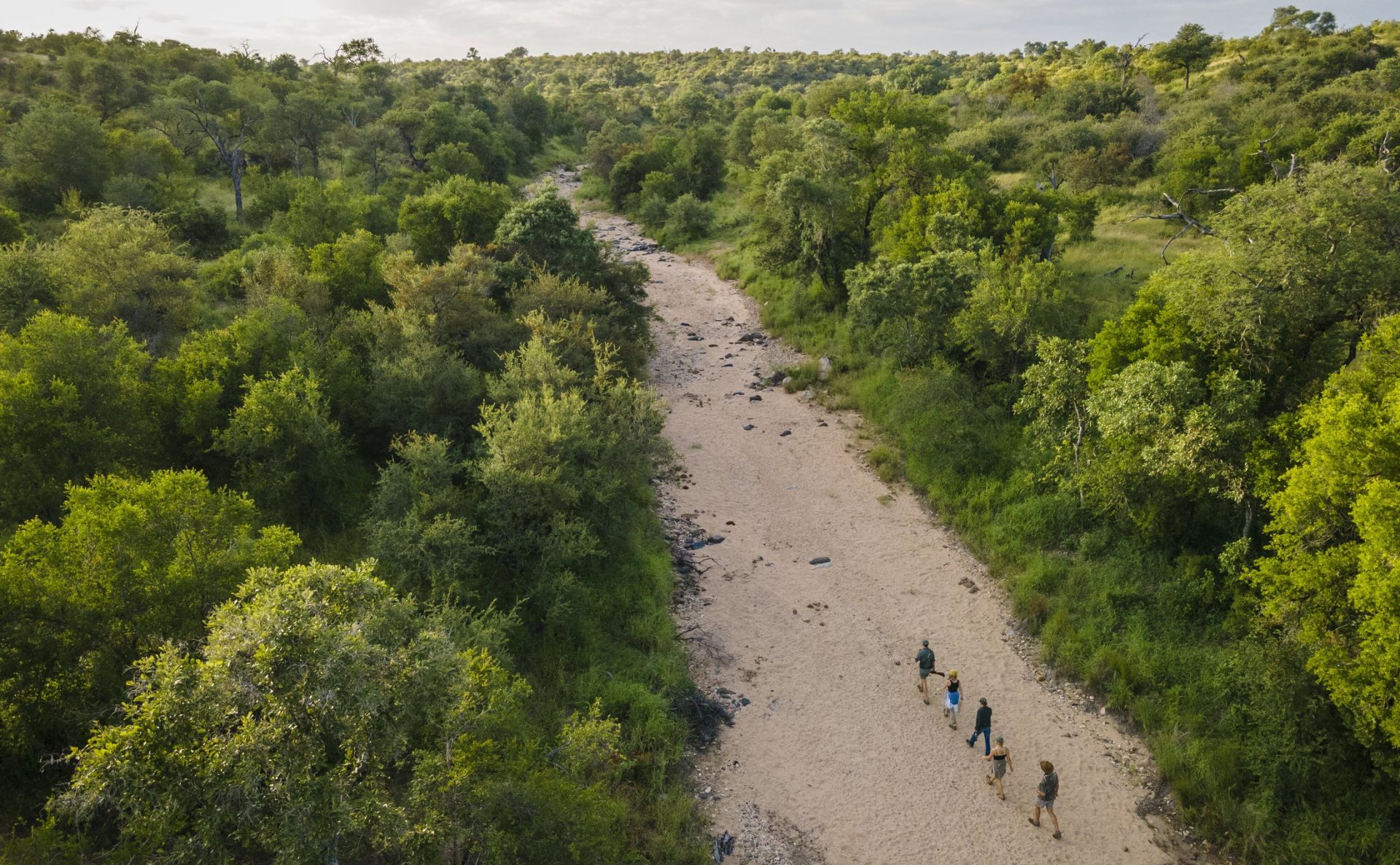 Misava Safari Camp en Klaserie Private Nature Reserve