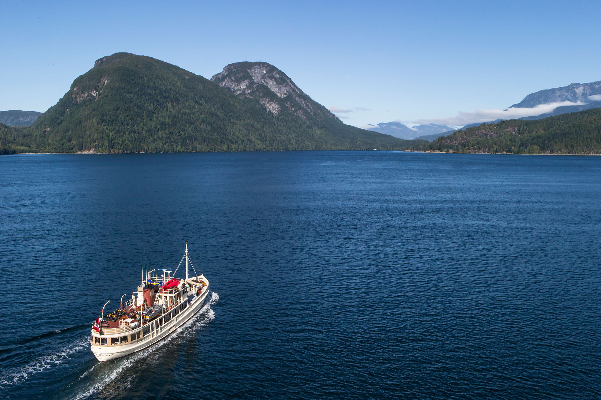 Pacific Yellowfin en Desolation Sound