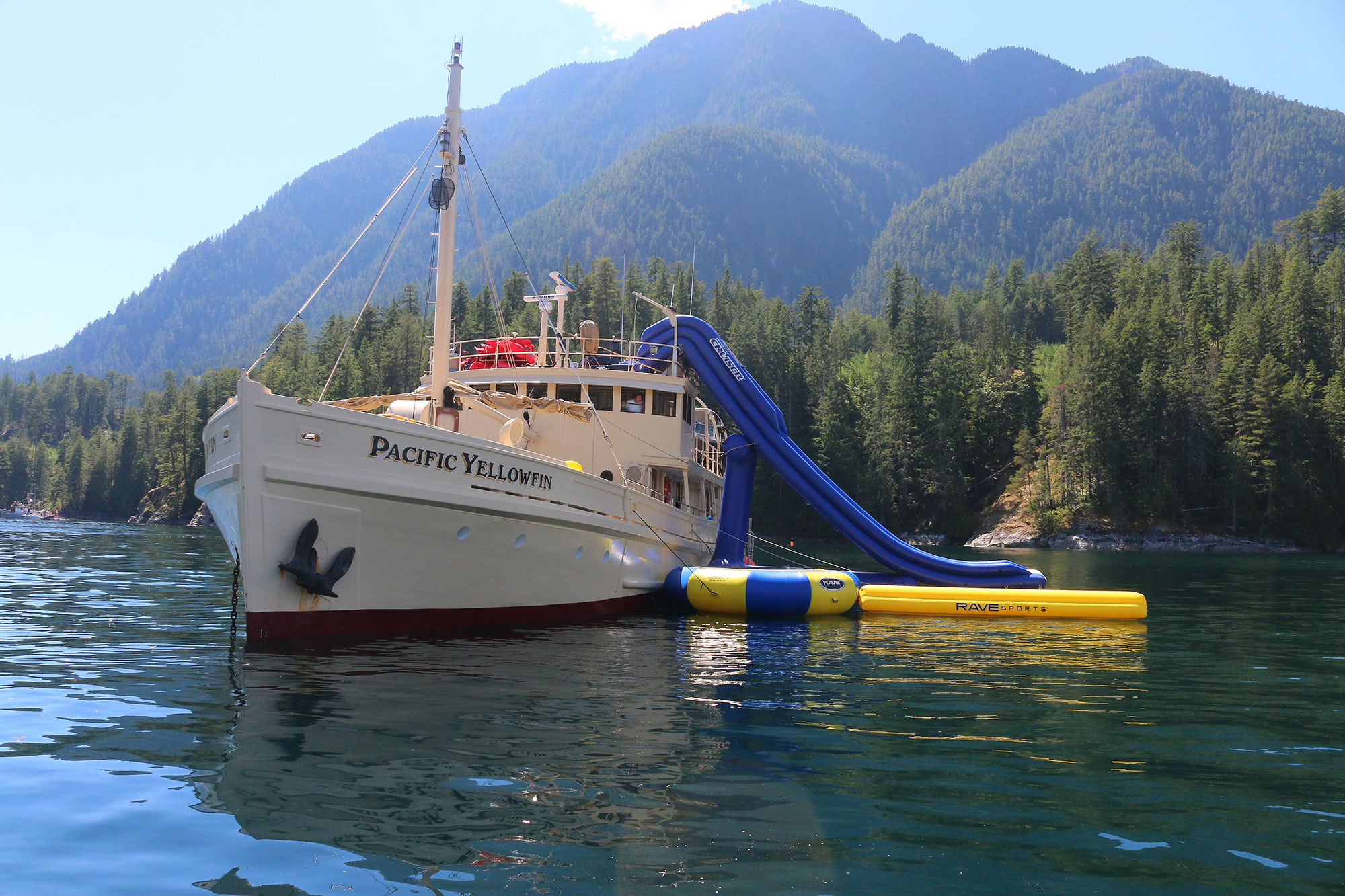 Pacific Yellowfin en Desolation Sound