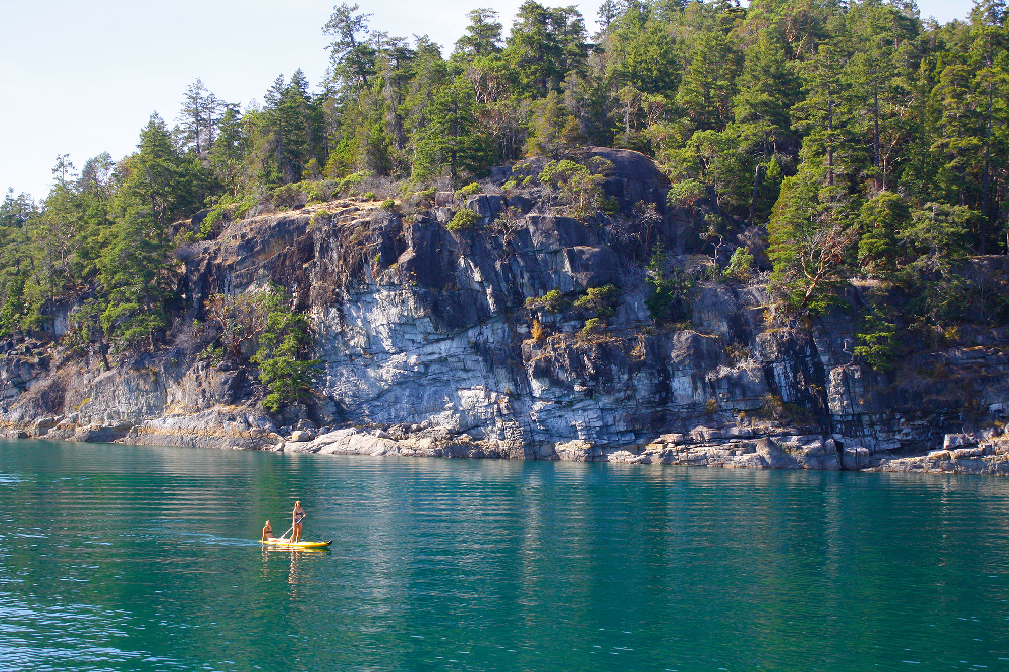 Pacific Yellowfin en Desolation Sound