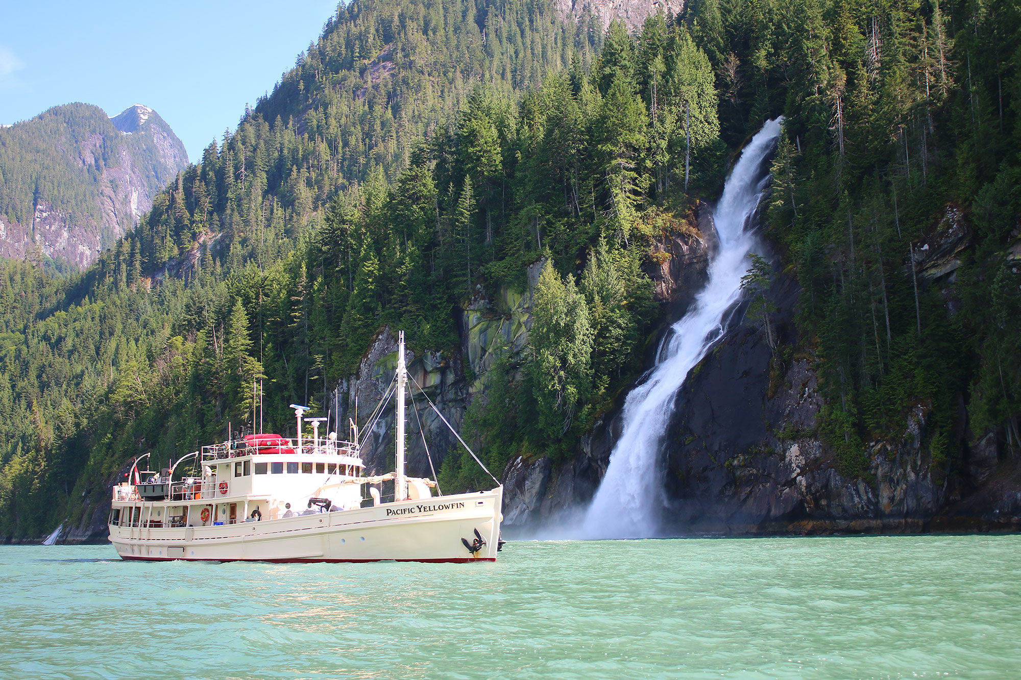 Pacific Yellowfin en Desolation Sound