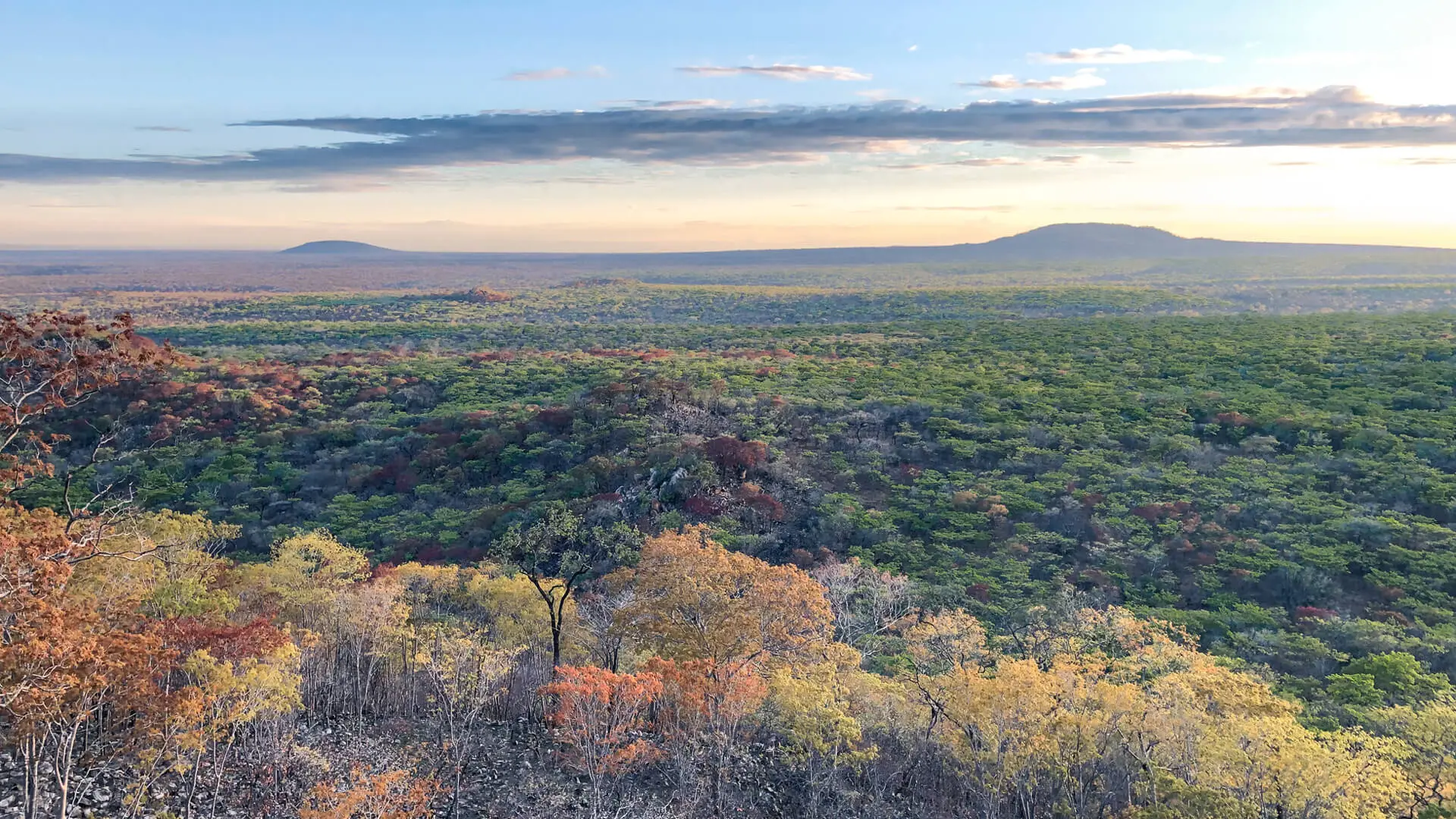 Asilia camp lodges usangu when to go4 jpg