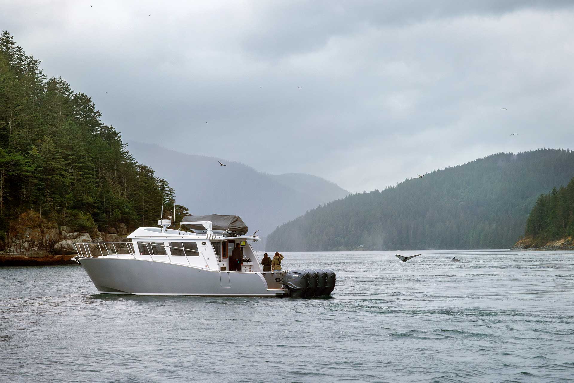 Fawn Bluff Private Lodge en Bute Inlet