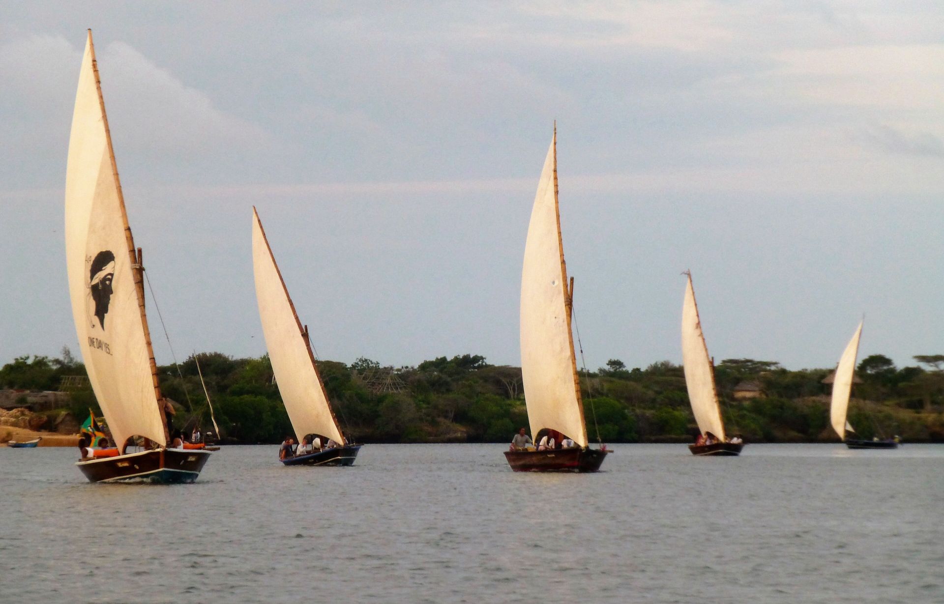 Lamu | LAT.40