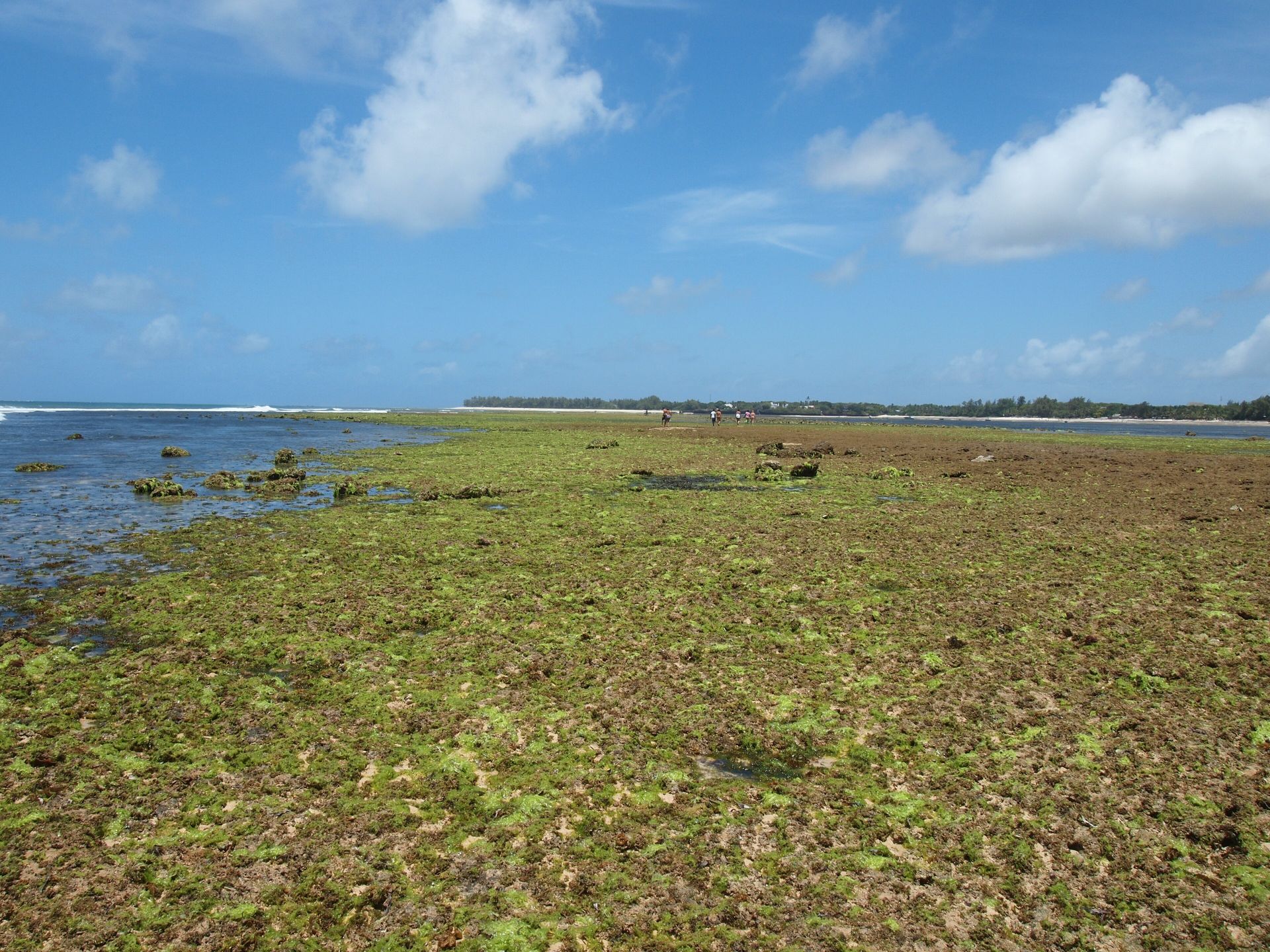 Malindi | LAT.40