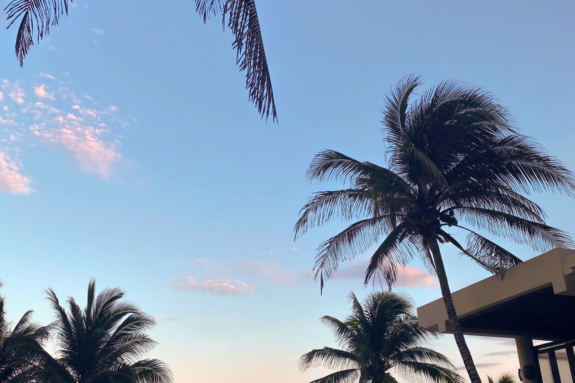 Paamul Hotel en Riviera Maya