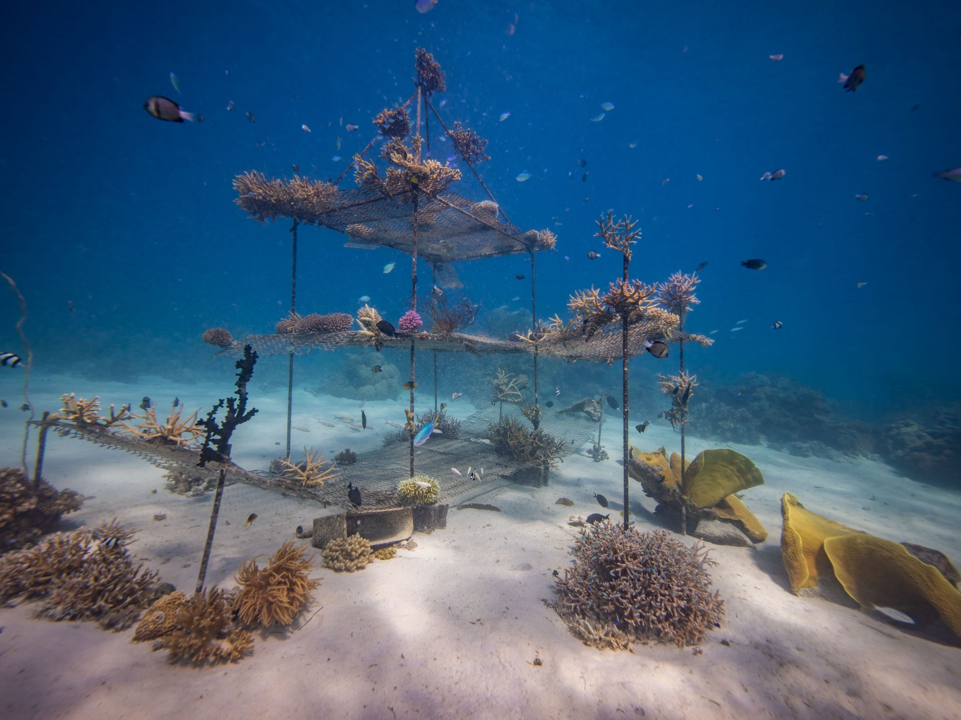 RAH GILI Maldives en South Male Atoll
