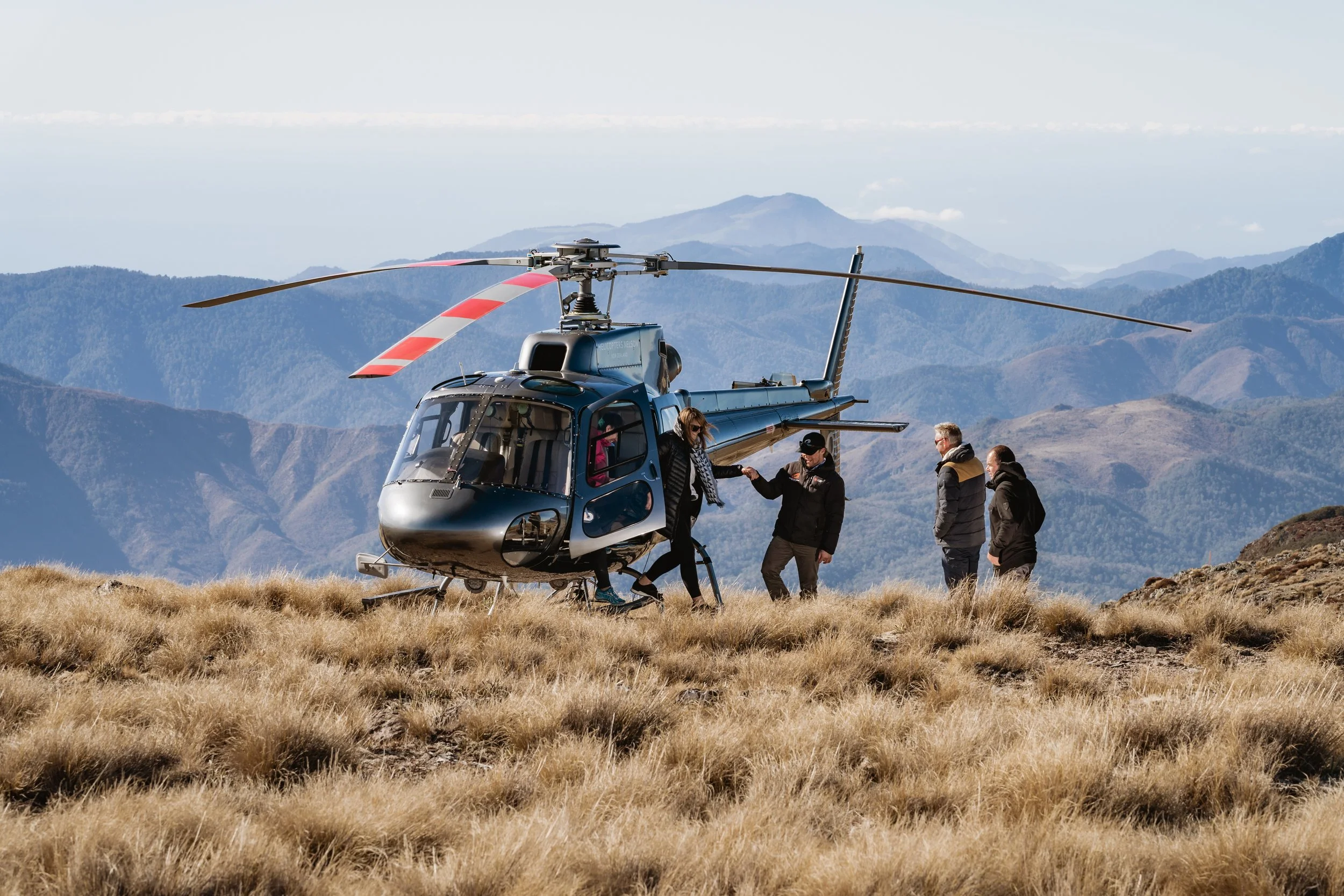 Heli nelson guests