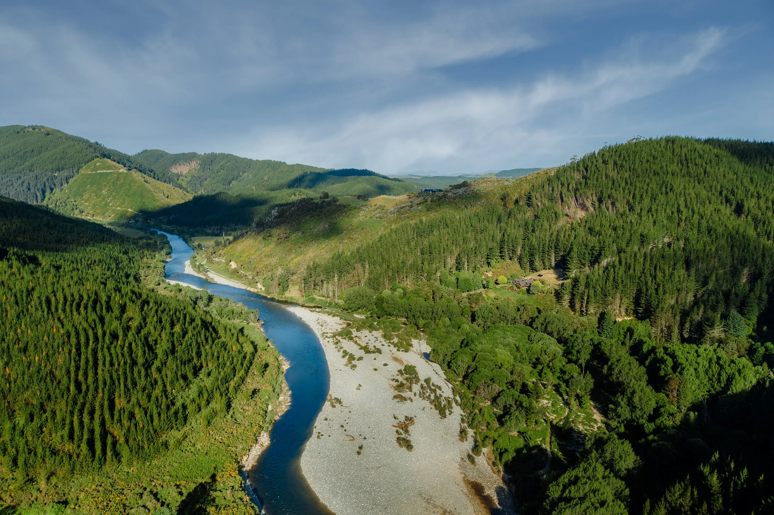 Stonefly aerial 10