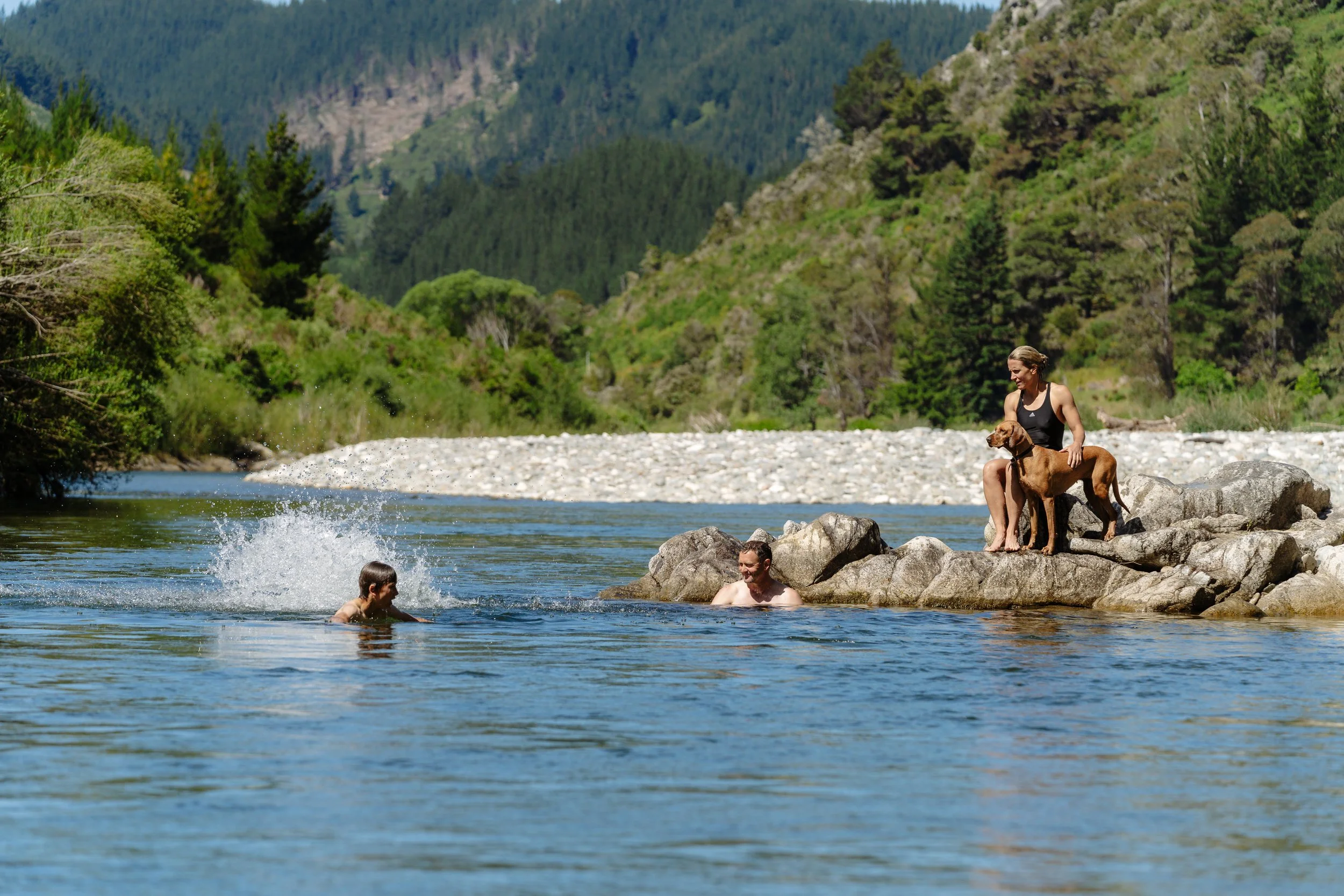 Stonefly swim 1