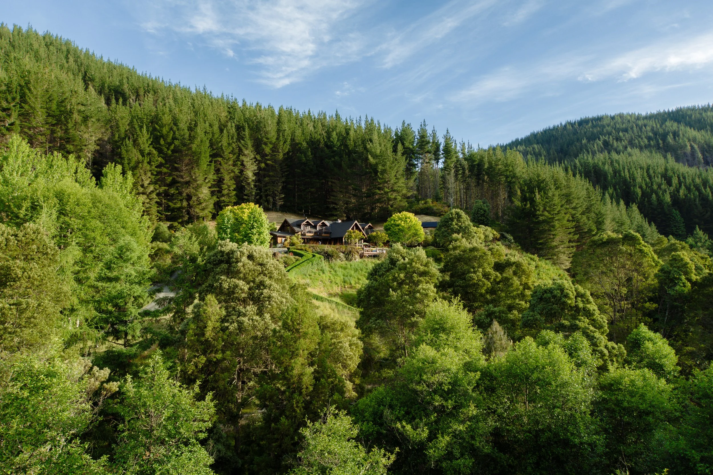 Stonefly aerial 7