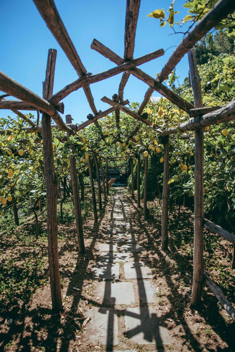 La Torre della Limonaia en Costa Amalfitana
