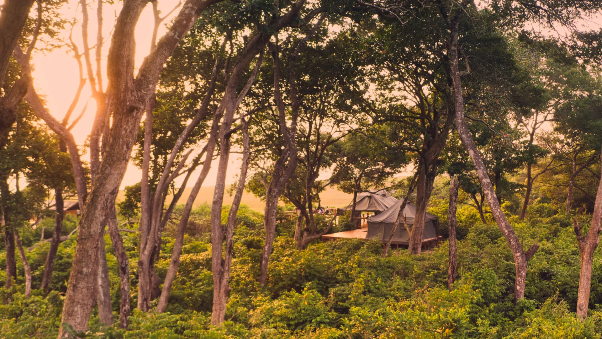 Loango Savannah Camp en Loango National Park