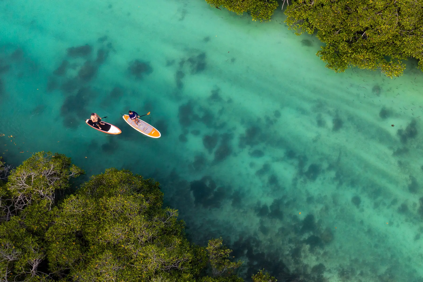 NIHI Rote & Hospitality Academy en Rote Island