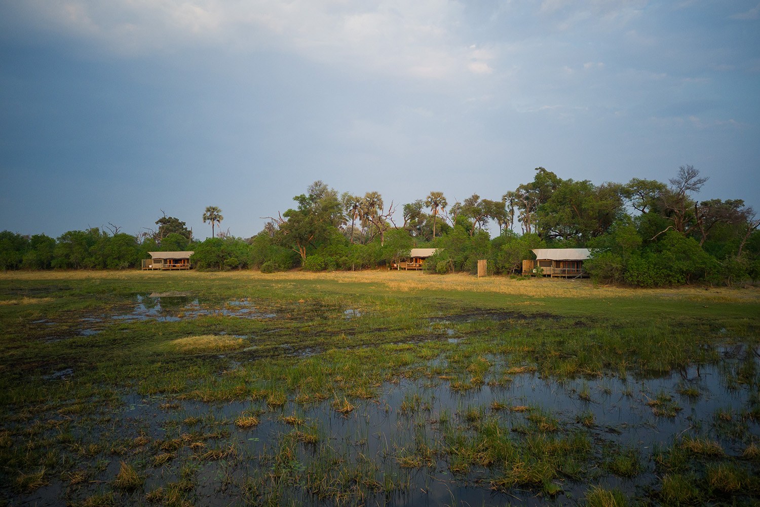 Amber River Camp, Delta del Okavango