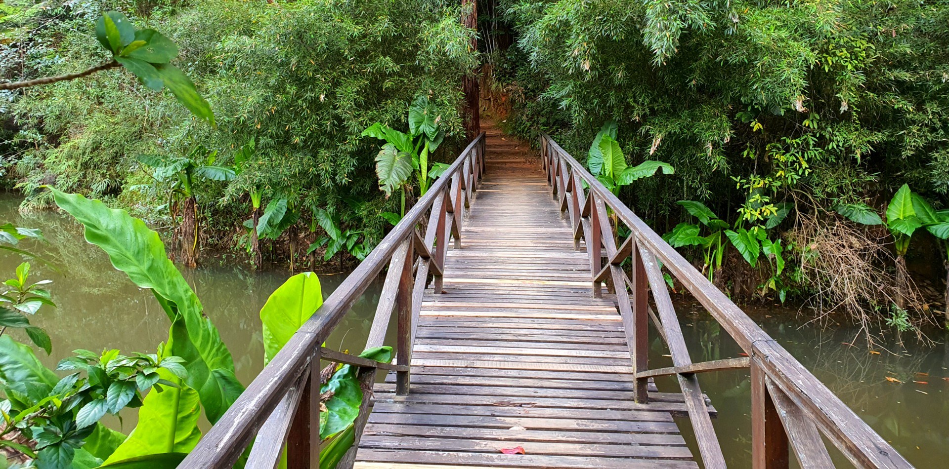 Vakona Forest Lodge en Andasibe