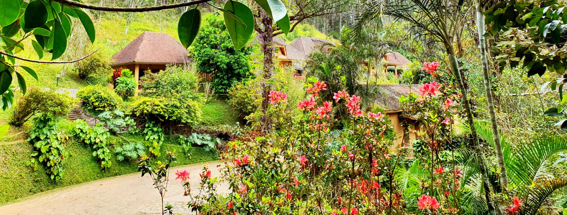 Vakona Forest Lodge en Andasibe