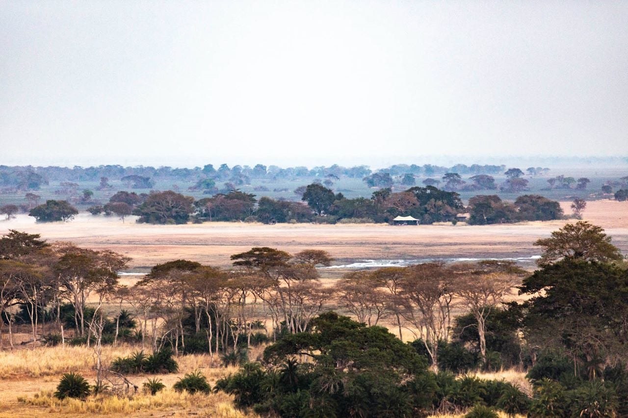 Busanga Bush Camp en Busanga Plains