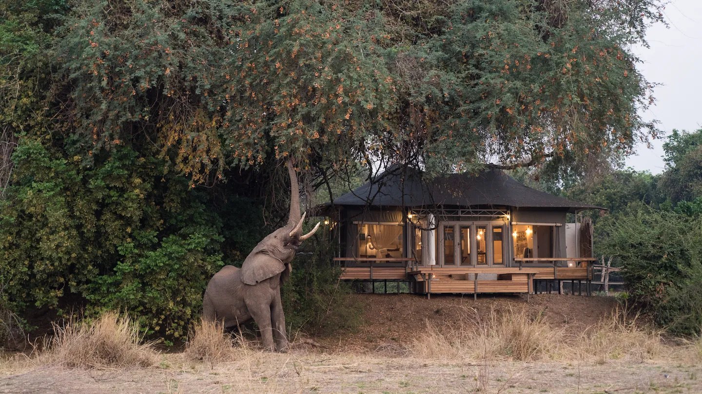Chikwenya Game Lodge, Mana Pools