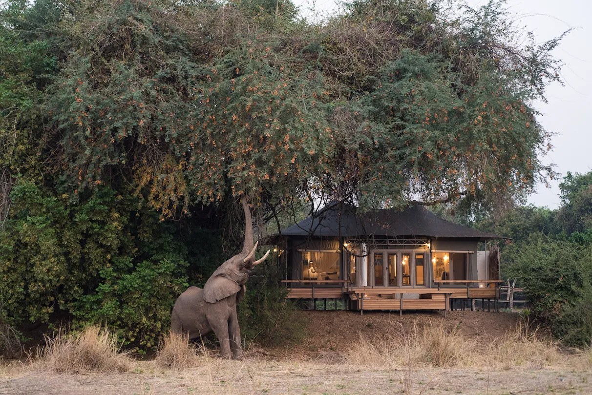 Chikwenya Game Lodge, Mana Pools