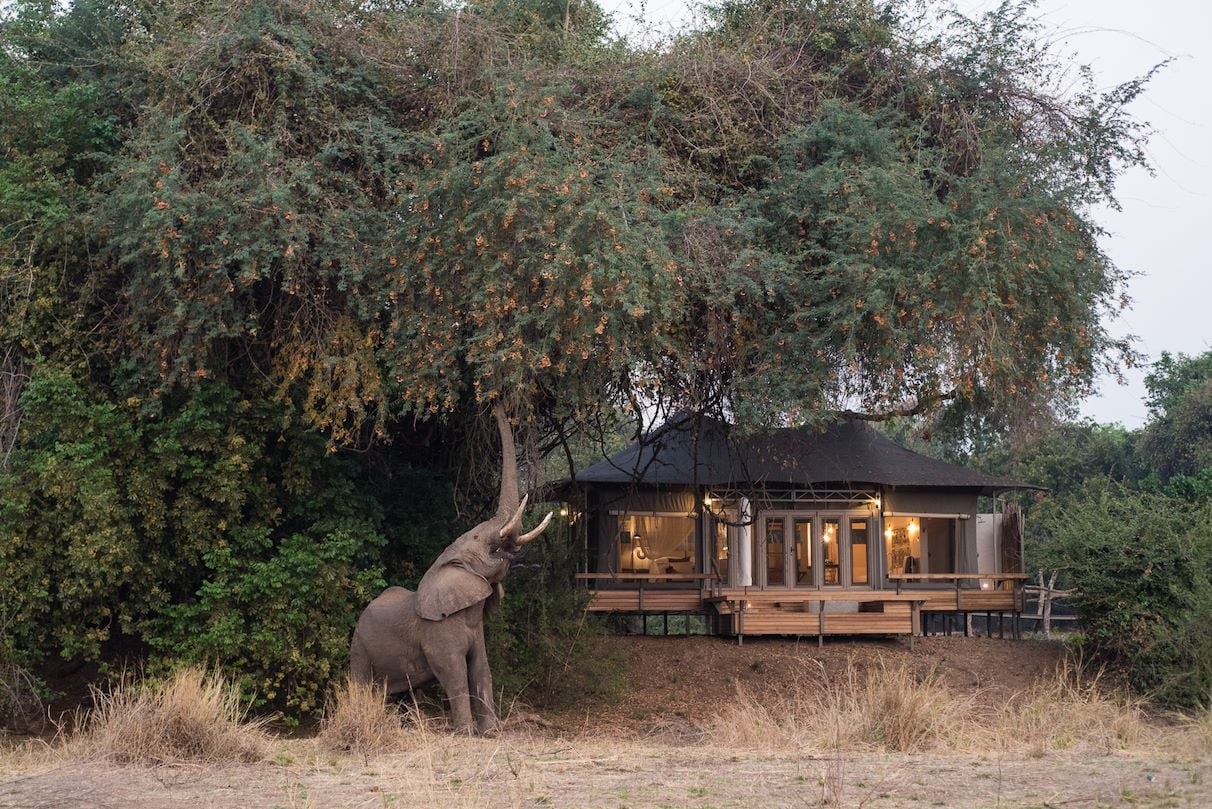 Chikwenya Game Lodge, Mana Pools