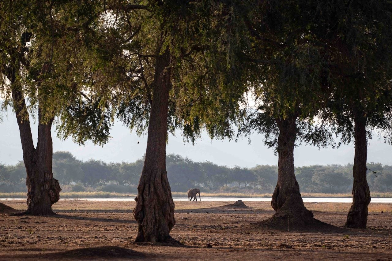 Chikwenya Game Lodge, Mana Pools