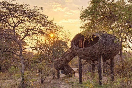 Chisa Busanga Camp en Busanga Plains
