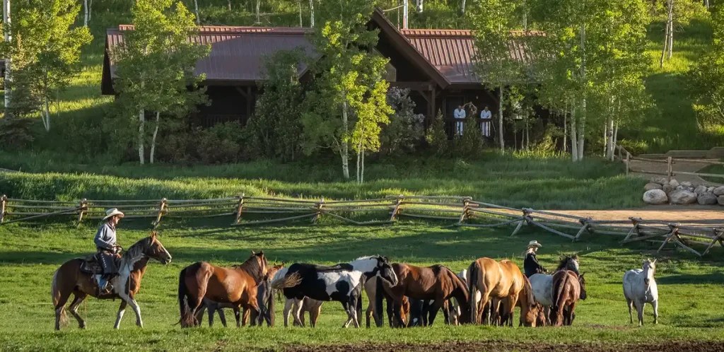 vista verde luxury resort ranch horse riding  1024x498