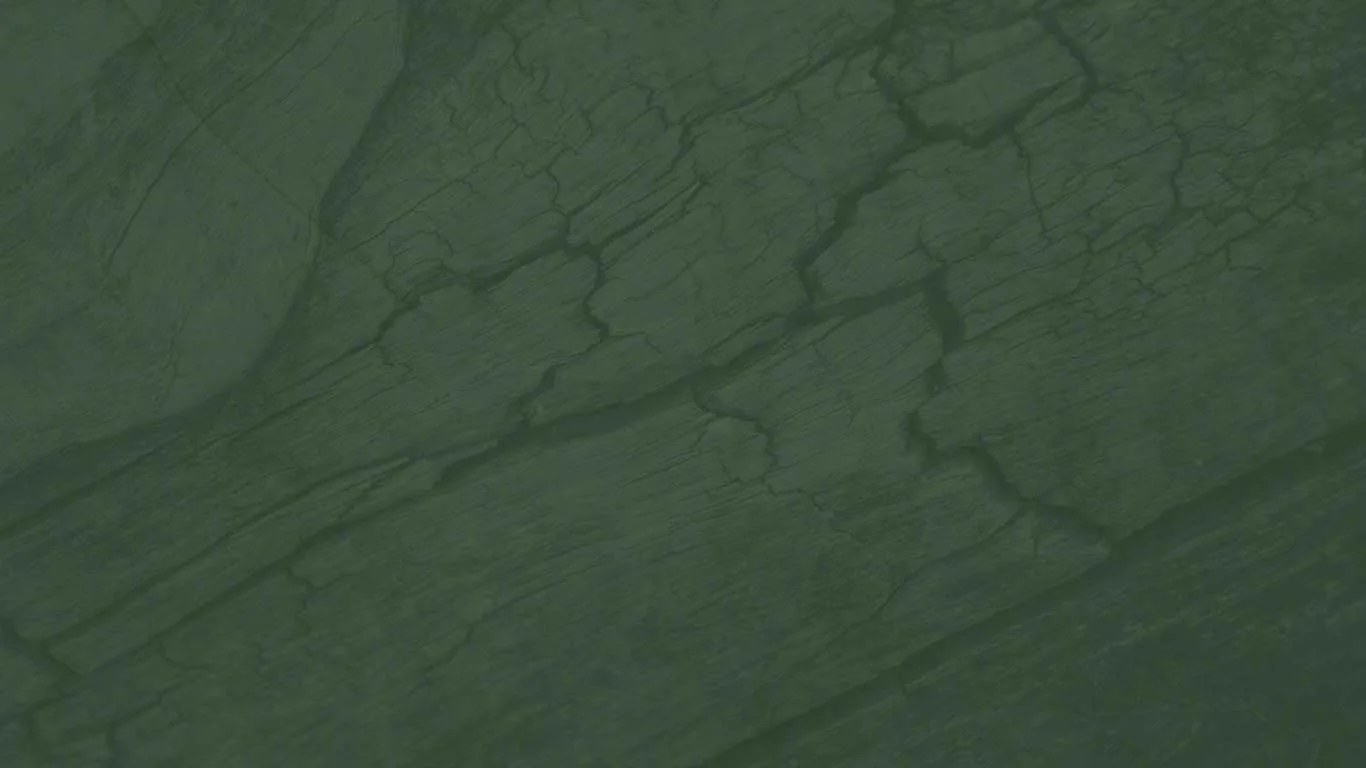 Vista Verde Ranch | LAT.40