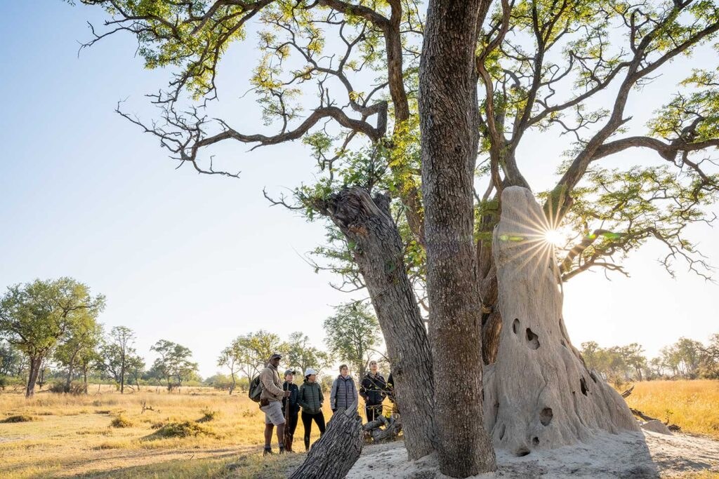 4 Rivers Camp en Delta Okavango