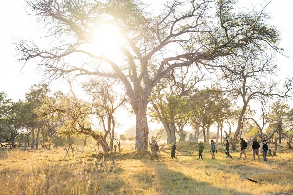 4 Rivers Camp en Delta Okavango