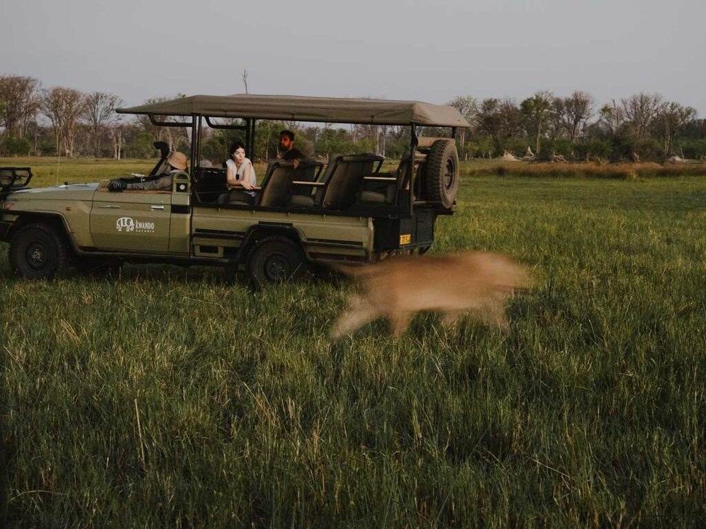 4 Rivers Camp en Delta Okavango