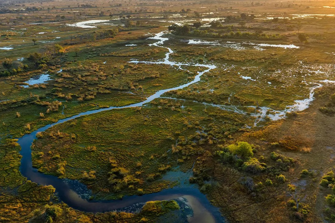 North Island Okavango en Delta Okavango