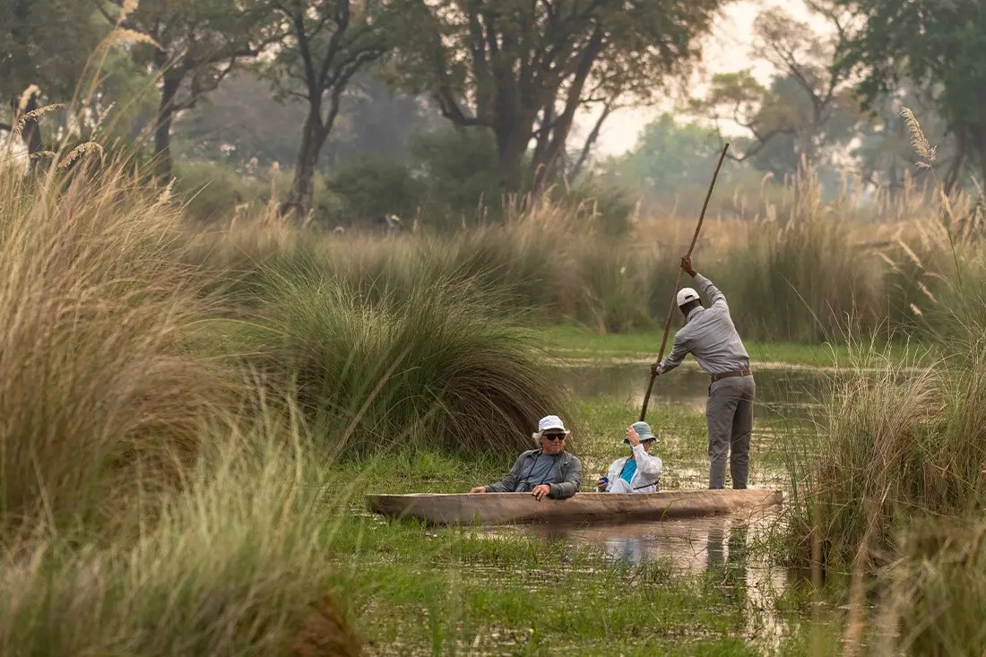 North Island Okavango en Delta Okavango