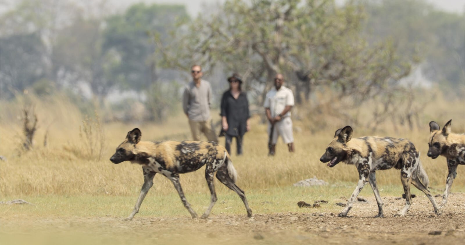 Okavango Origins en Delta Okavango