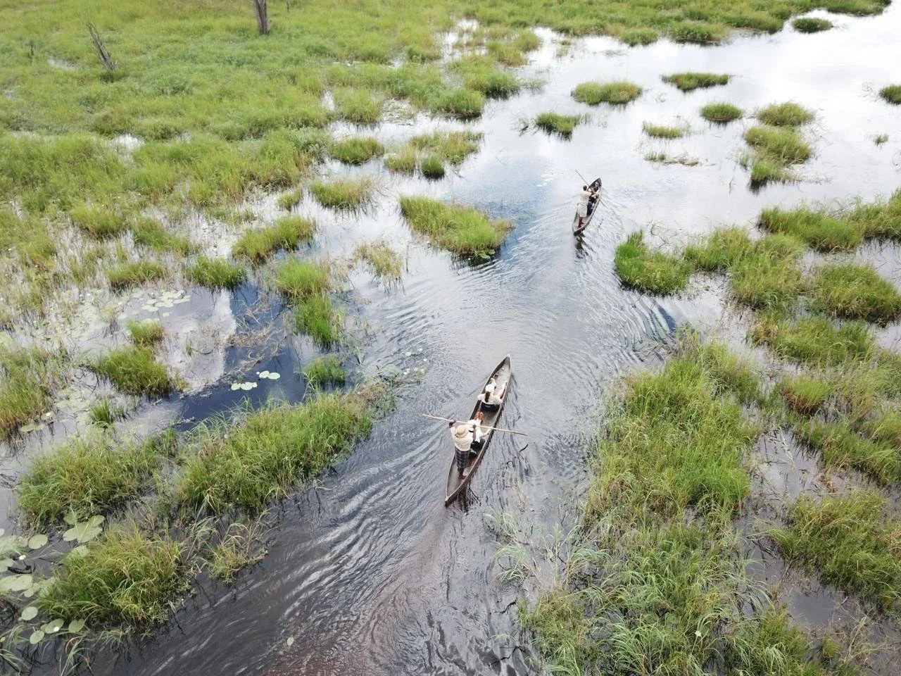 Pel's Island Camp en Delta Okavango