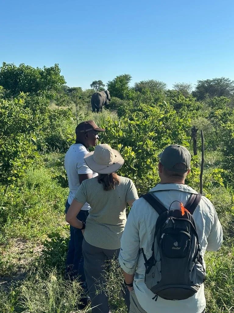 Pel's Island Camp en Delta Okavango